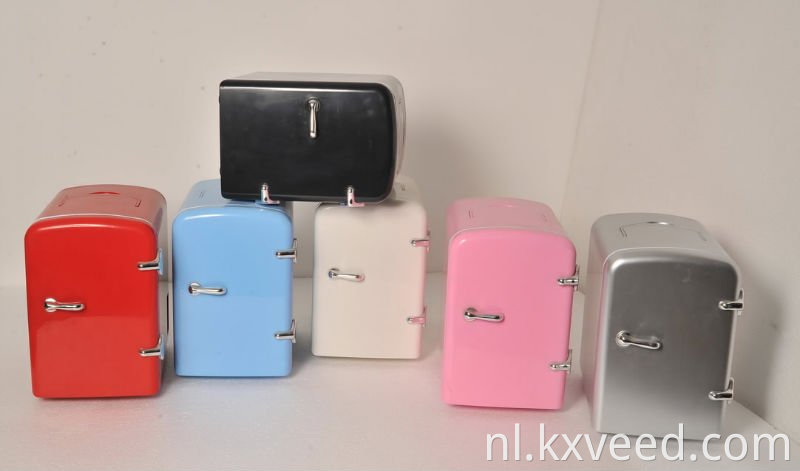 Mini Cooler Warmer Box Hot Selling Small Car koelkast